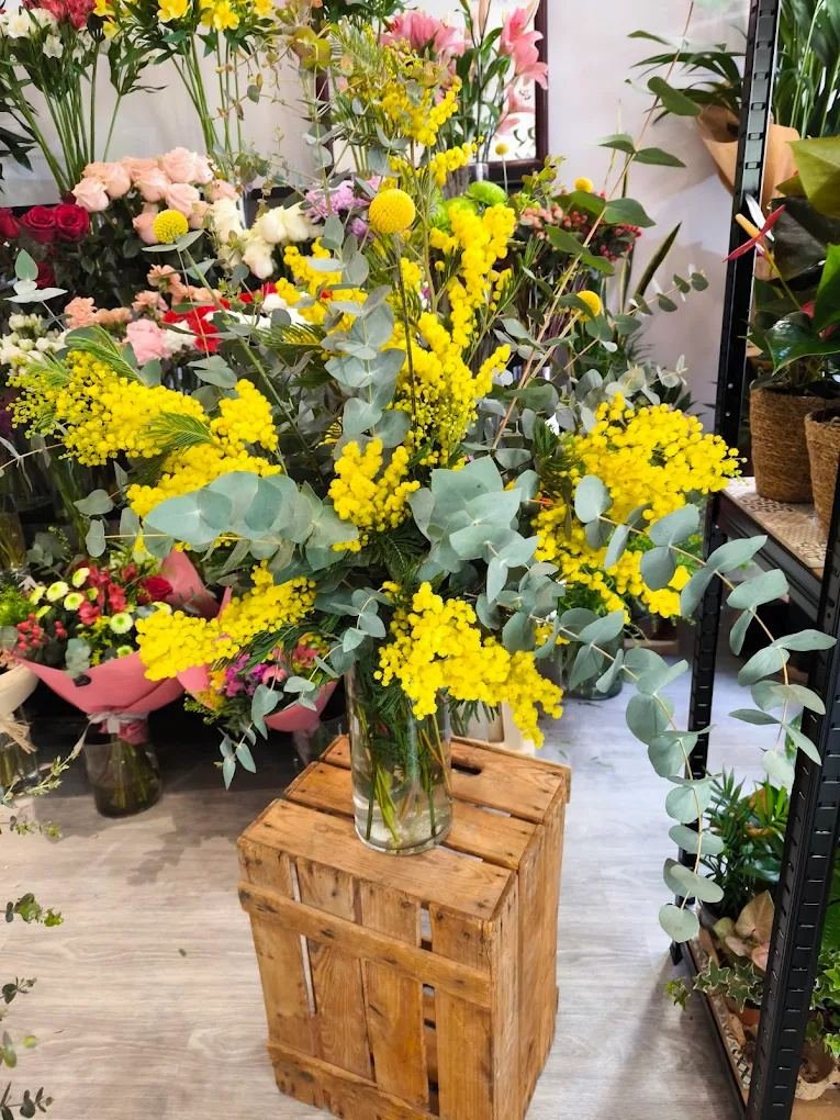 Gran ramo de mimosa y eucalipto sobre caja de madera en la tienda