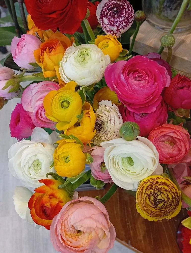 Ranúnculos de temporada en tonos rosa, amarillo y blanco